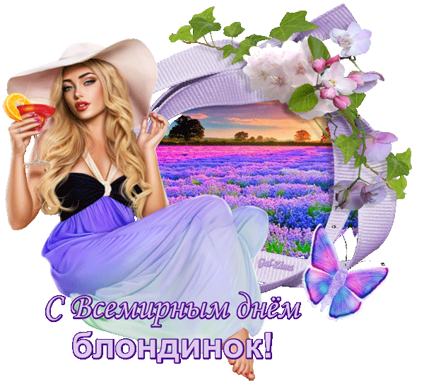 pic.gif