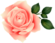 Pink_Rose_Clip_Art_Image (178x140, 28Kb)