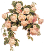 розы сред 2021  (251) (155x180, 57Kb)